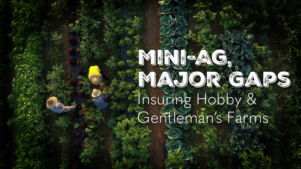 Mini-Ag, Major Gaps: Insuring Hobby and Gentleman's Farms